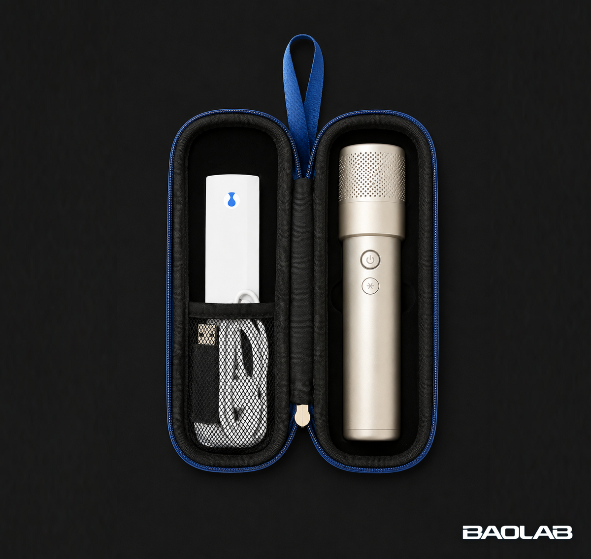 [PRE-ORDER] Denza OEM Karaoke Microphone