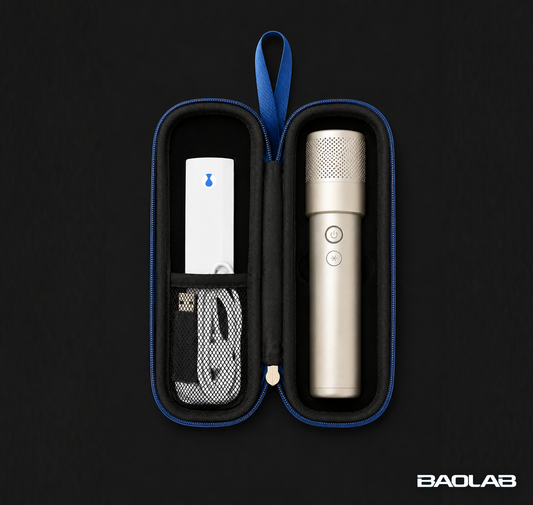 [PRE-ORDER] Denza OEM Karaoke Microphone